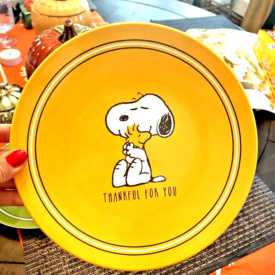 Pottery Barn snoopy Dinner Plate Disney Peanuts School holiday party kid gift