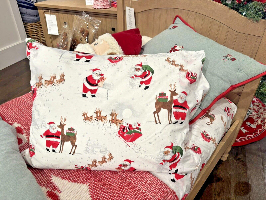 Pottery Barn Disney holiday pillowcase Rudolph Christmas heritage Winter kids m