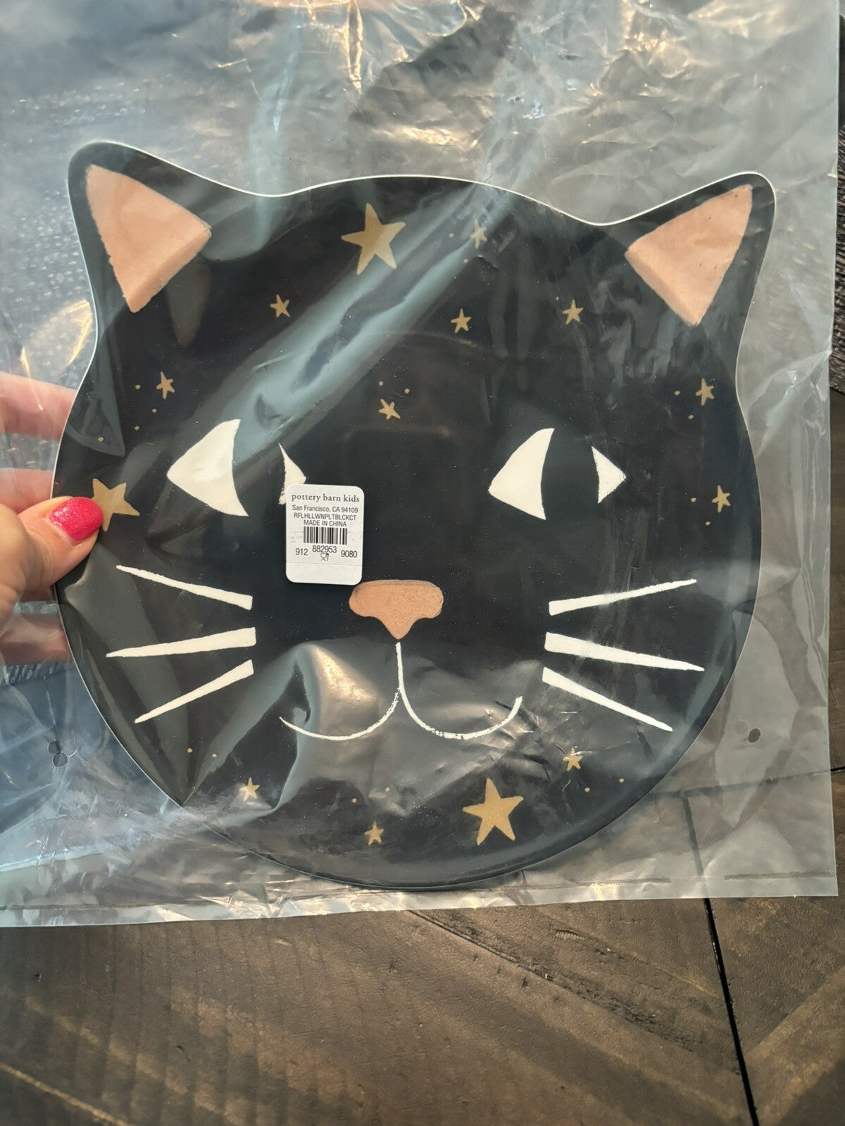 Pottery Barn Disney Plate Halloween Holiday party school black cat SET 4 gift