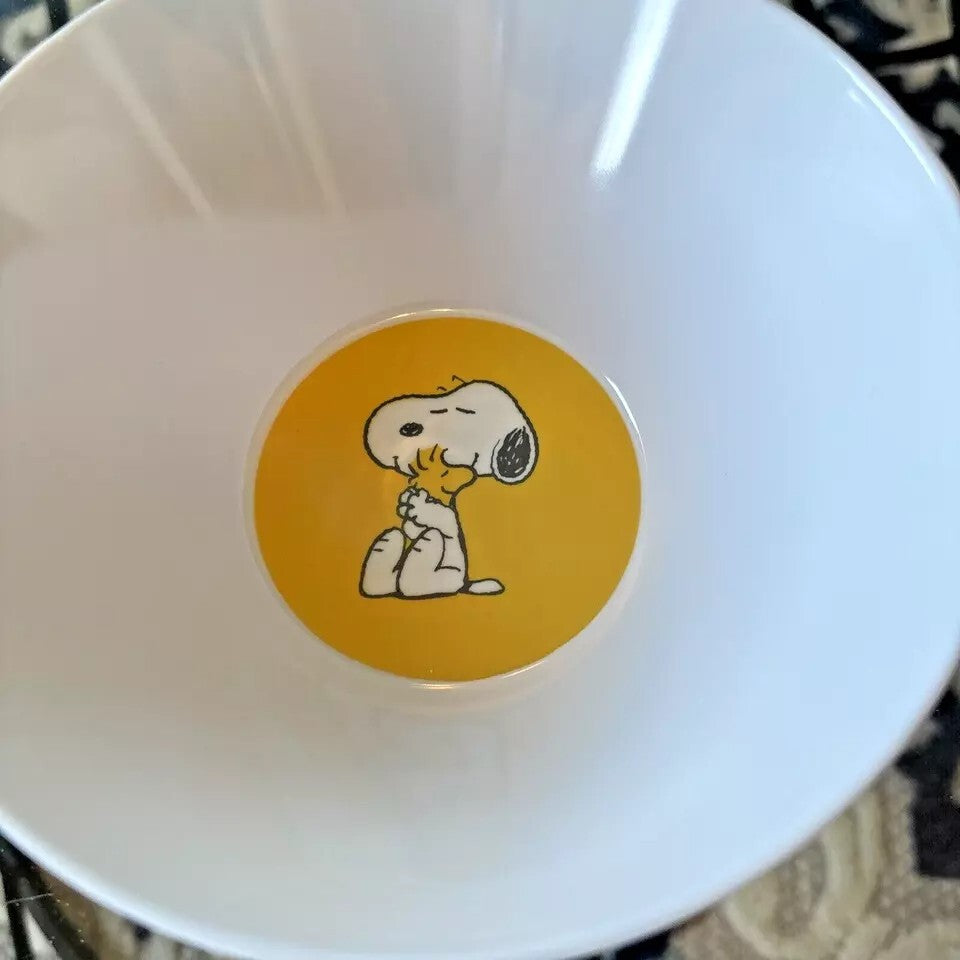 Snoopy Thanksgiving Pottery Barn peanuts holiday party Disney school SET 4 =