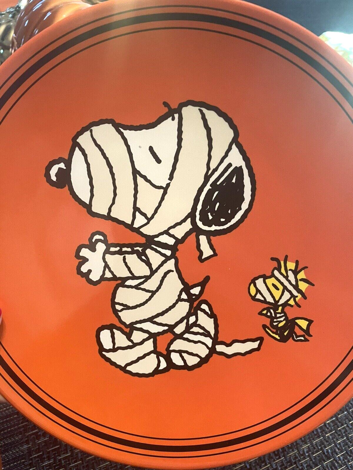 Snoopy Pottery Barn Peanuts Halloween holiday Disney party school Dinner SET kid