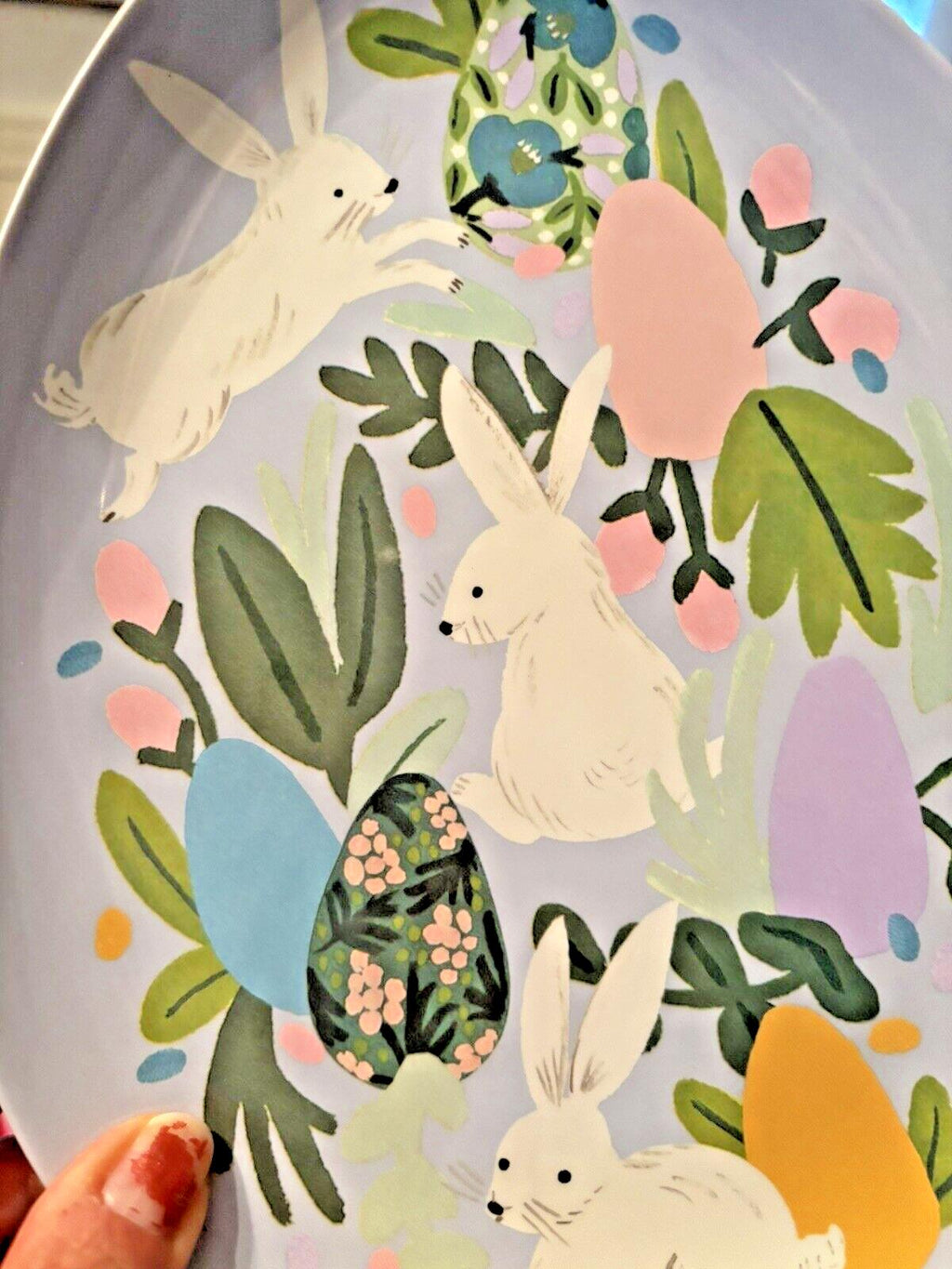 Disney Pottery Barn holiday Plate Peter rabbit Easter Bunny party gift floral a