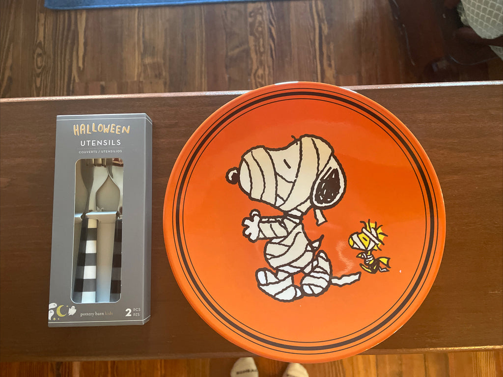 Snoopy Pottery Barn Peanuts Halloween holiday Disney party school Dinner SET kid