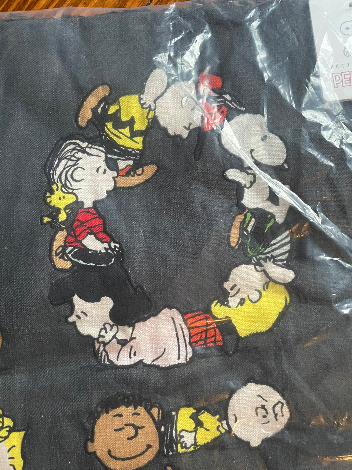 Snoopy Pottery Barn pillow Sham peanuts Disney Holiday School Gift Dorm ?? `