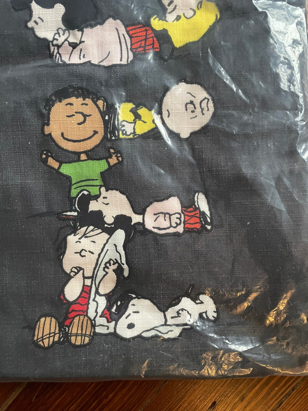 Snoopy Pottery Barn pillow Sham peanuts Disney Holiday School Gift Dorm ?? `