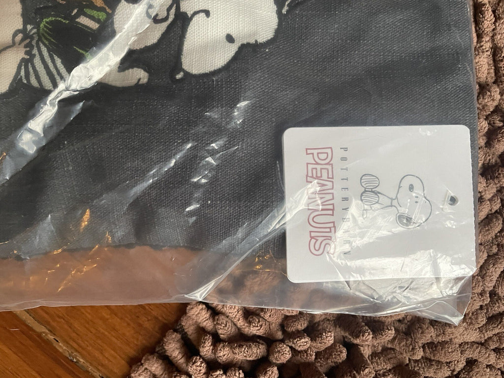 Snoopy Pottery Barn pillow Sham peanuts Disney Holiday School Gift Dorm ?? `