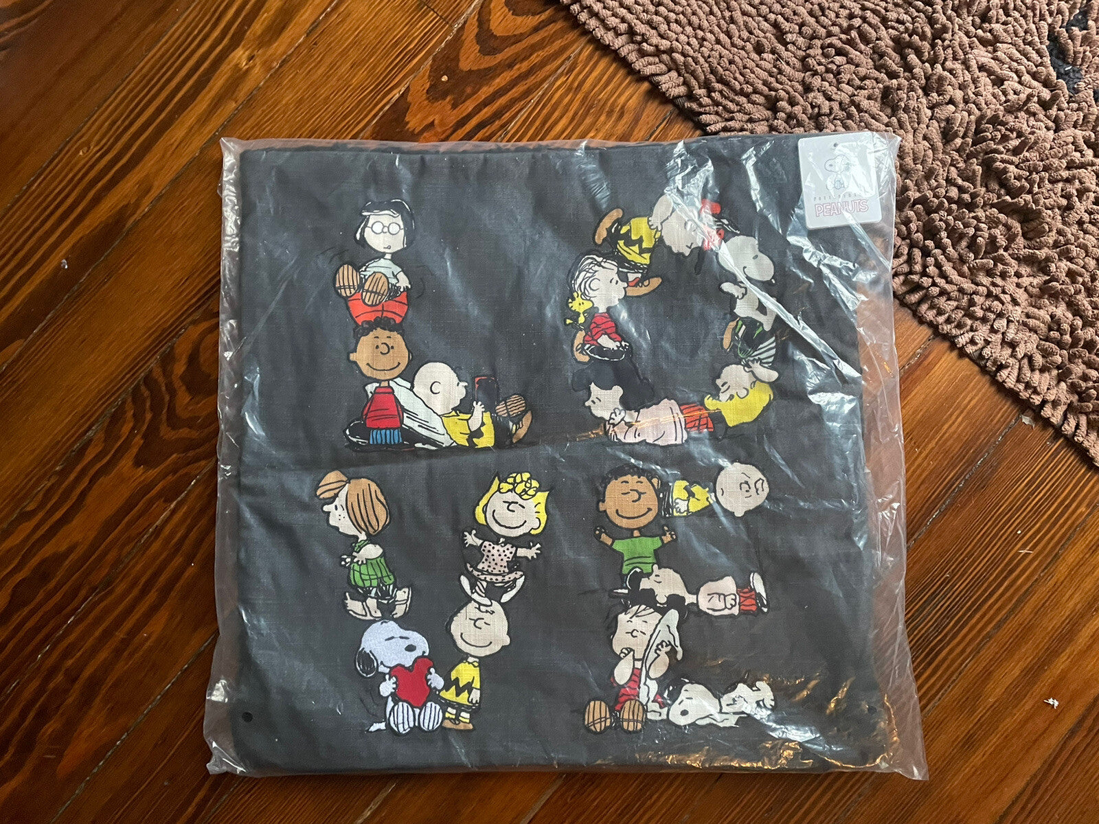 Snoopy Pottery Barn pillow Sham peanuts Disney Holiday School Gift Dorm ?? `