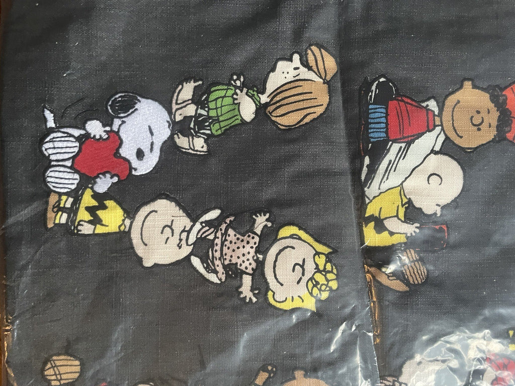 Snoopy Pottery Barn pillow Sham peanuts Disney Holiday School Gift Dorm ?? `