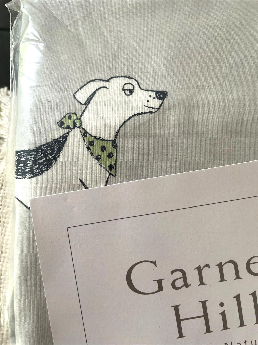 Garnet Hill holiday Salty dog party Disney gift school Birthday PILLOWCASE SET 2