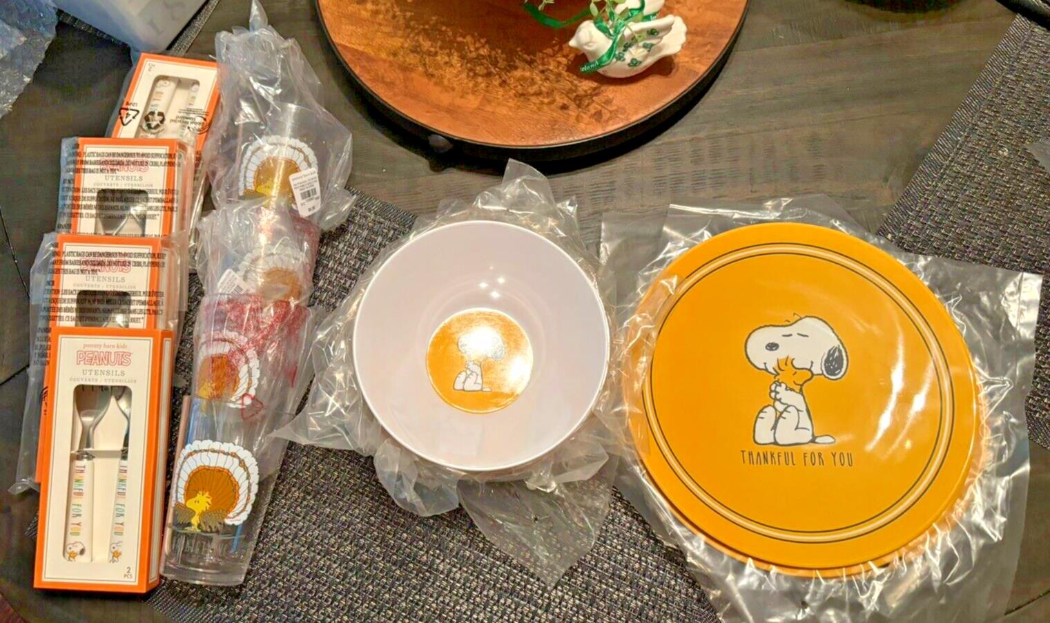 Disney Snoopy Pottery Barn plate cup Bowl+UTENSILS Peanuts Party Disney SET 16