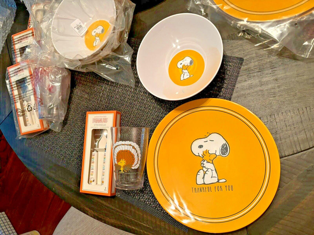 Disney Snoopy Pottery Barn plate cup Bowl+UTENSILS Peanuts Party Disney SET 16