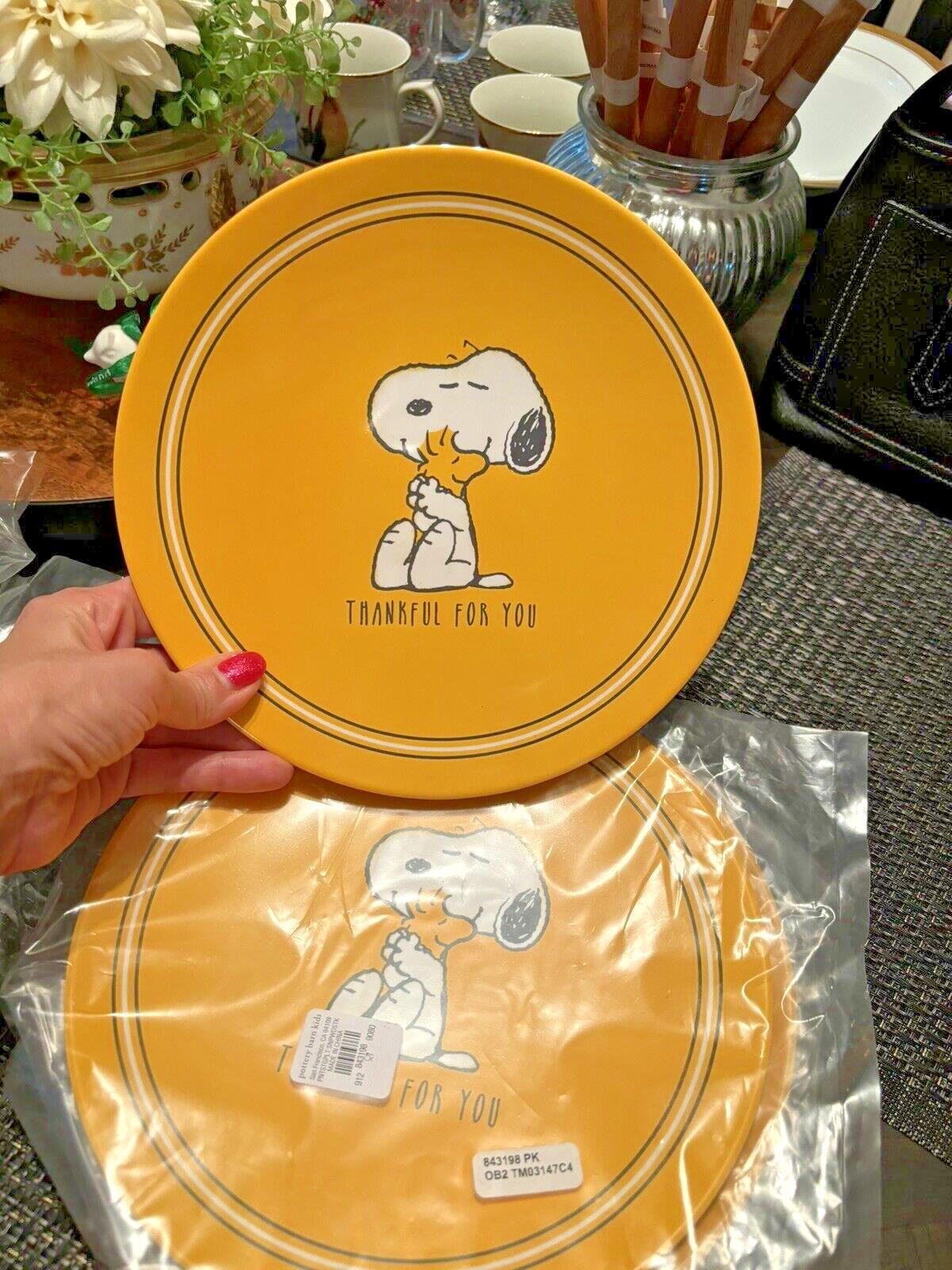 Disney Snoopy Pottery Barn plate cup Bowl+UTENSILS Peanuts Party Disney SET 16