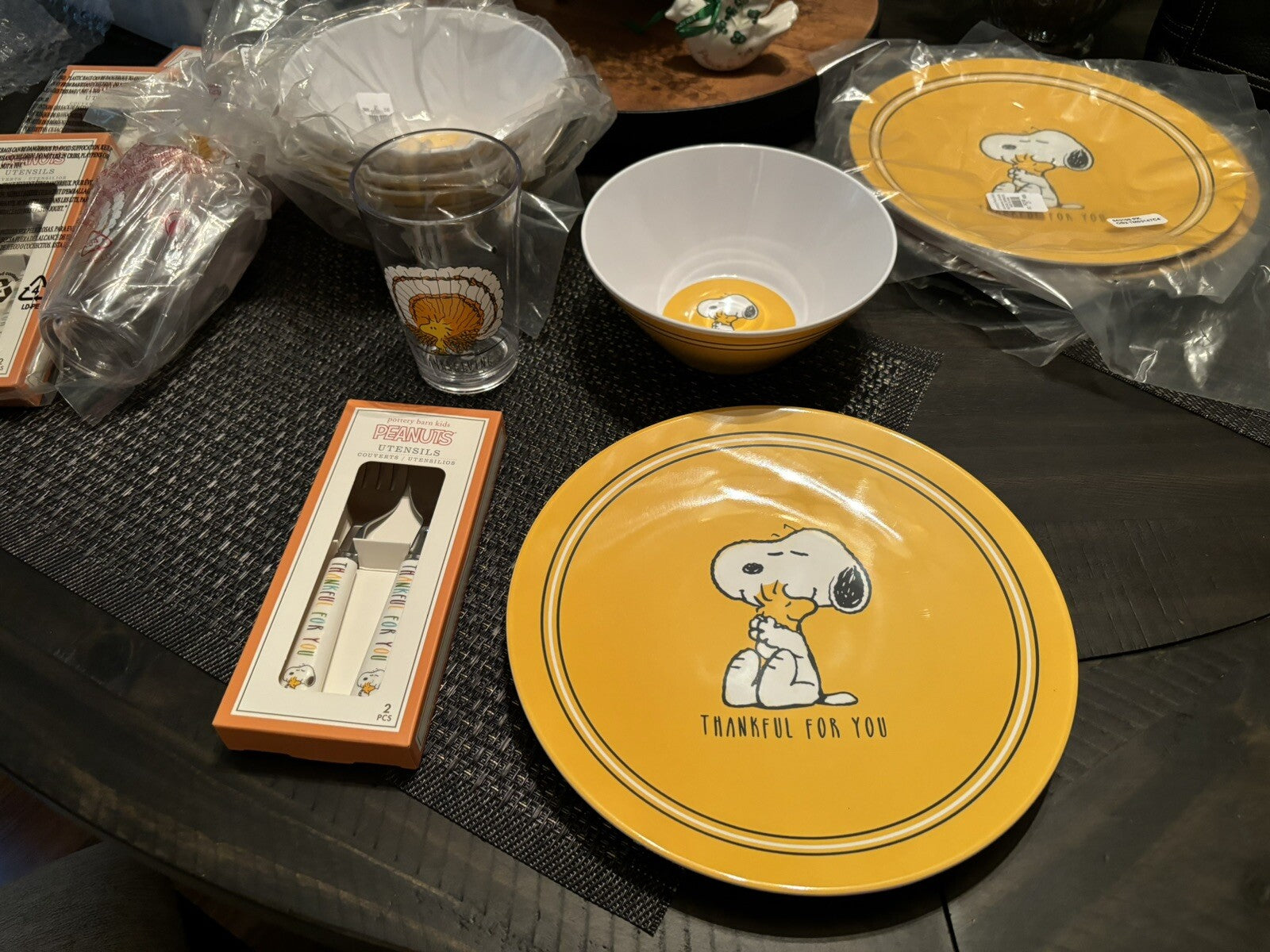 Disney Snoopy Pottery Barn plate cup Bowl+UTENSILS Peanuts Party Disney SET 16