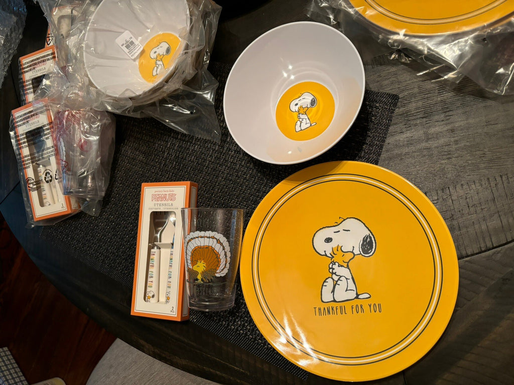 Disney Snoopy Pottery Barn plate cup Bowl+UTENSILS Peanuts Party Disney SET 16