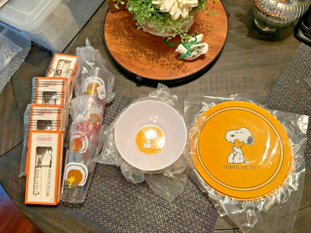 Disney Snoopy Pottery Barn plate cup Bowl+UTENSILS Peanuts Party Disney SET 16