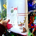 Disney Pottery Barn GRINCH Christmas pillow Sham Dr Seuss Holiday party kid =
