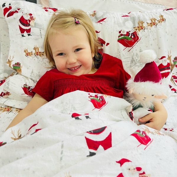Pottery Barn Christmas holiday pillowcase Rudolph Heritage Santa Disney gift 1