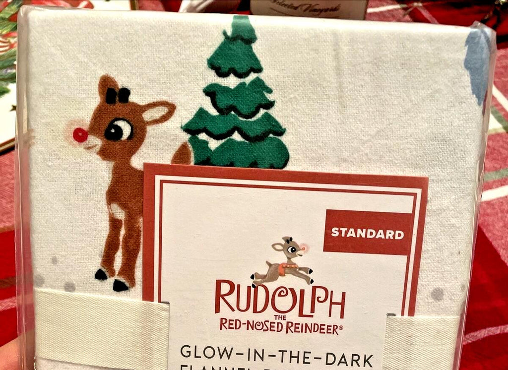 Pottery Barn GRINCH RUDOLPH Santa Christmas Seuss kid holiday Pillowcase SET 2