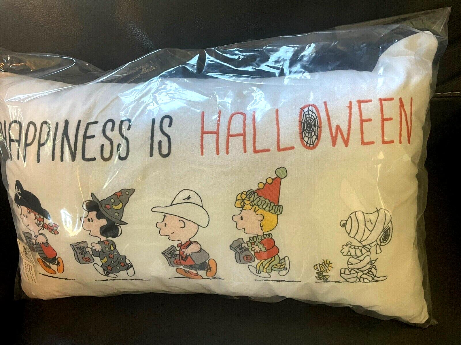 Disney Snoopy Pottery Barn Peanuts holiday Pillow School halloween 12x20 Gift =