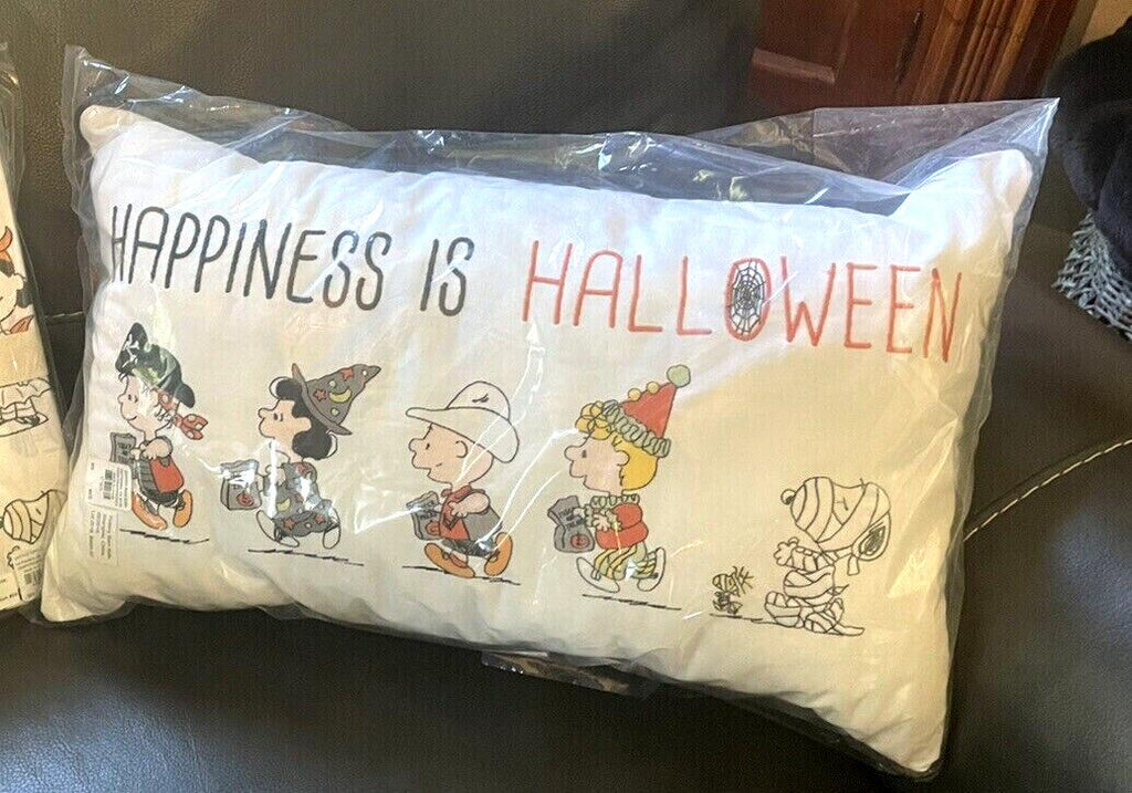 Disney Snoopy Pottery Barn Peanuts holiday Pillow School halloween 12x20 Gift =