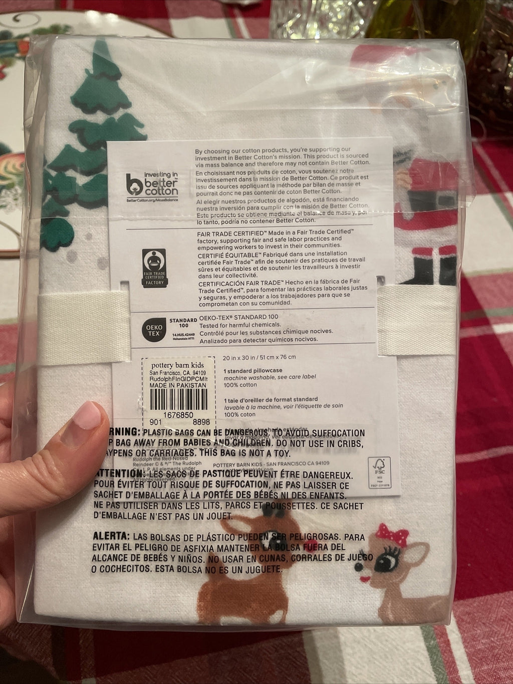 Pottery Barn GRINCH RUDOLPH Santa Christmas Seuss kid holiday Pillowcase SET 2