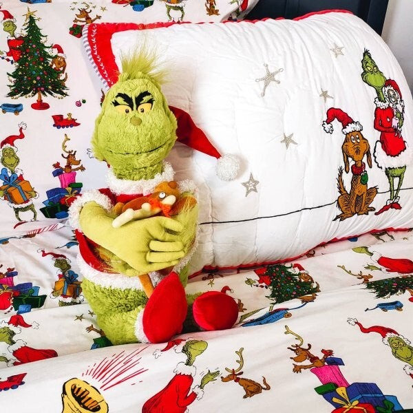 Pottery Barn GRINCH RUDOLPH Christmas Seuss Holiday gift Pillowcase Disney Set y