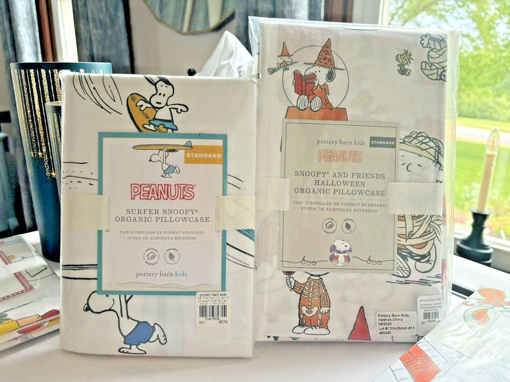Snoopy Pottery Barn School peanuts Pillowcase Halloween Holiday Surf Dog SET 2 y