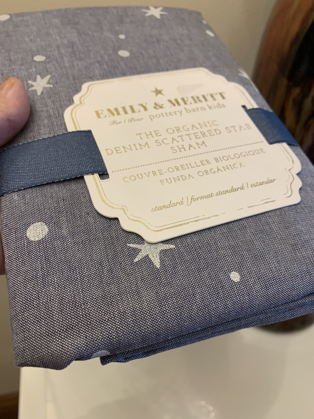 Pottery barn Disney Emily Meritt Star pillow sham holiday school kid gift new "