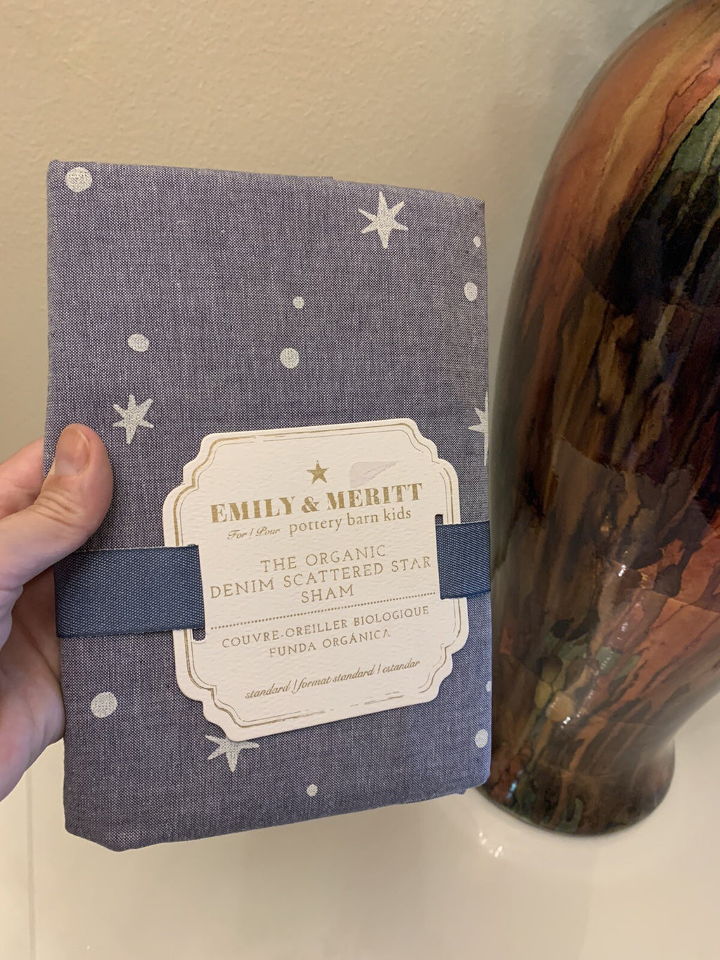 Pottery barn Disney Emily Meritt Star pillow sham holiday school kid gift new "