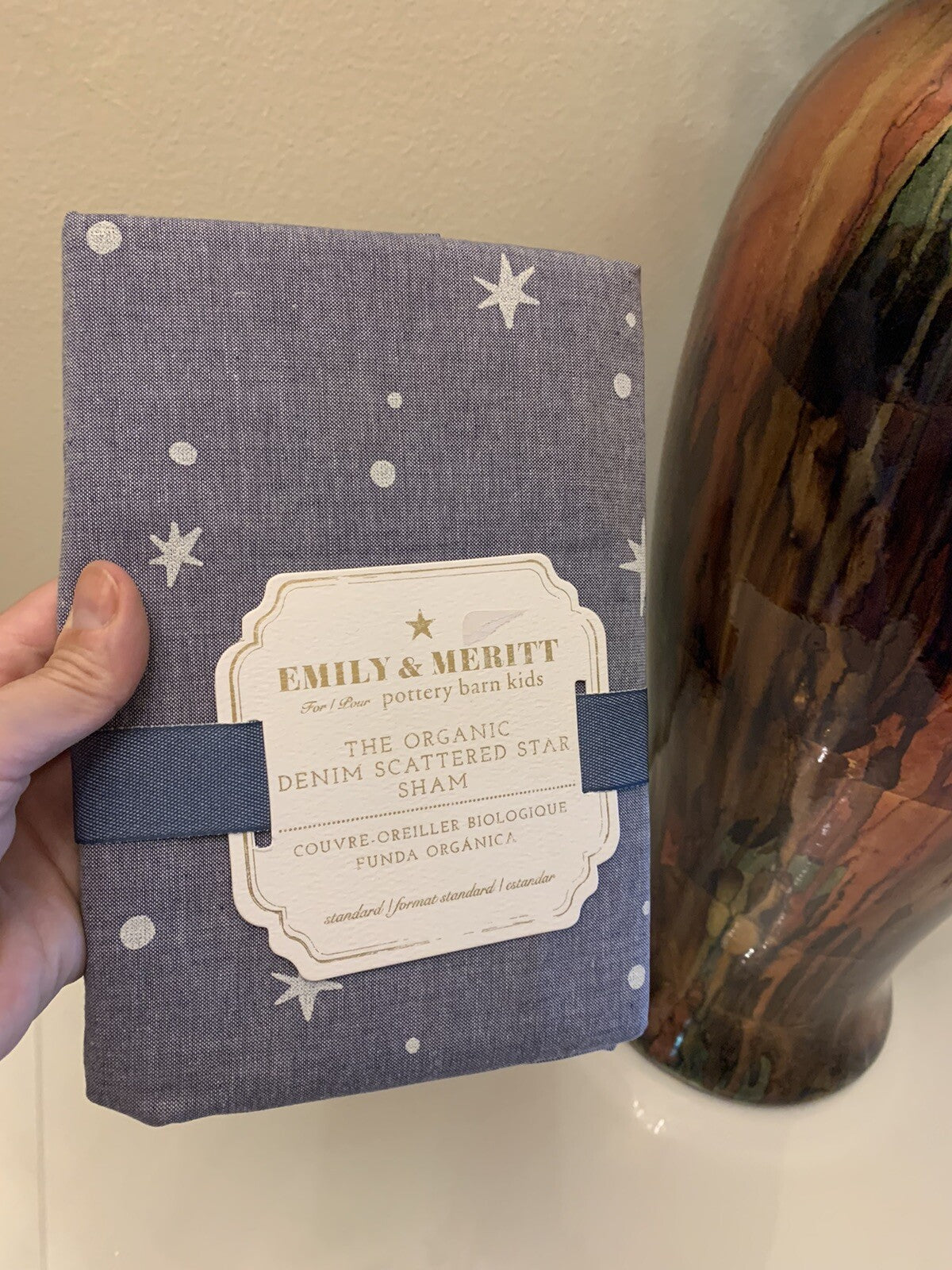 Pottery barn Disney Emily Meritt Star pillow sham holiday school kid gift new "