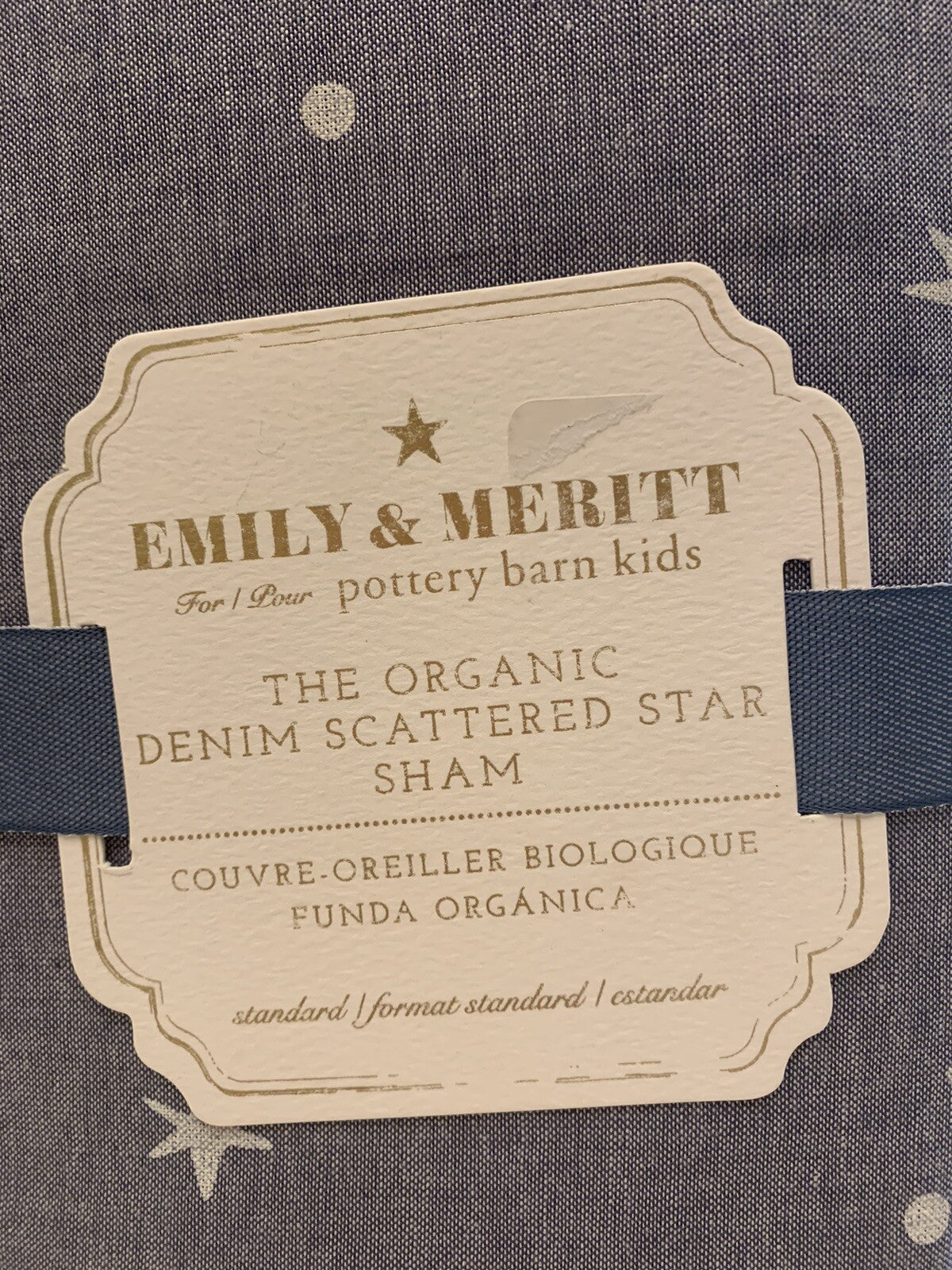 Pottery barn Disney Emily Meritt Star pillow sham holiday school kid gift new "