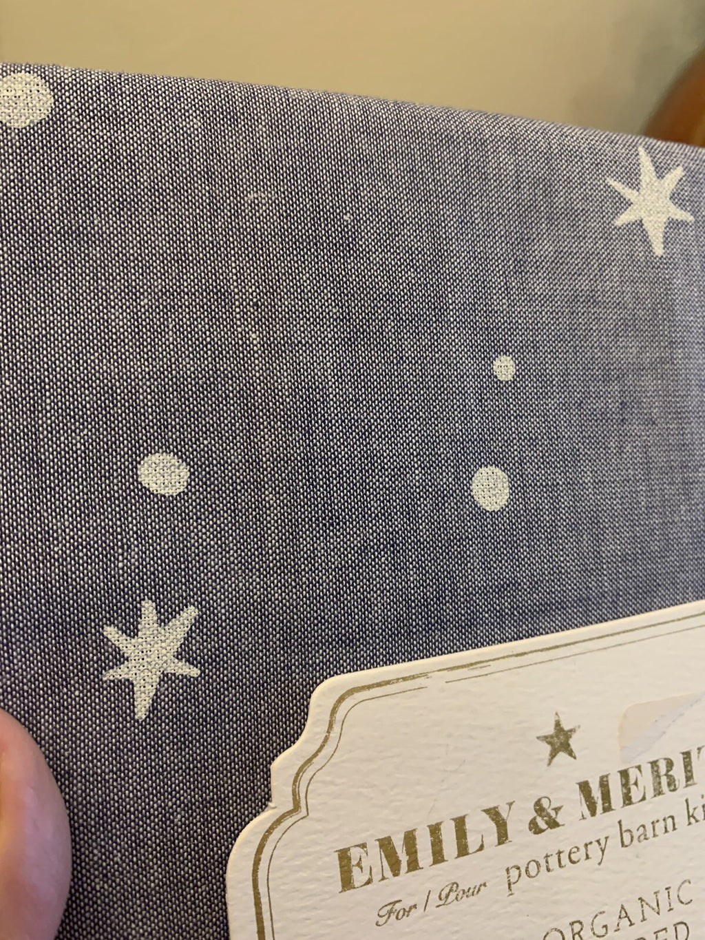 Pottery barn Disney Emily Meritt Star pillow sham holiday school kid gift new "
