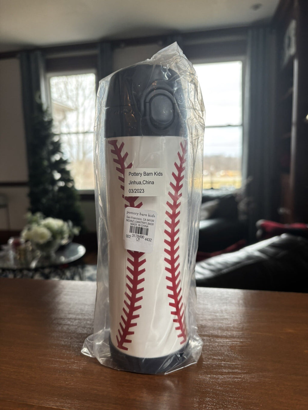 Pottery barn school Disney Sport Baseball Water Travel birthday gift boy space -