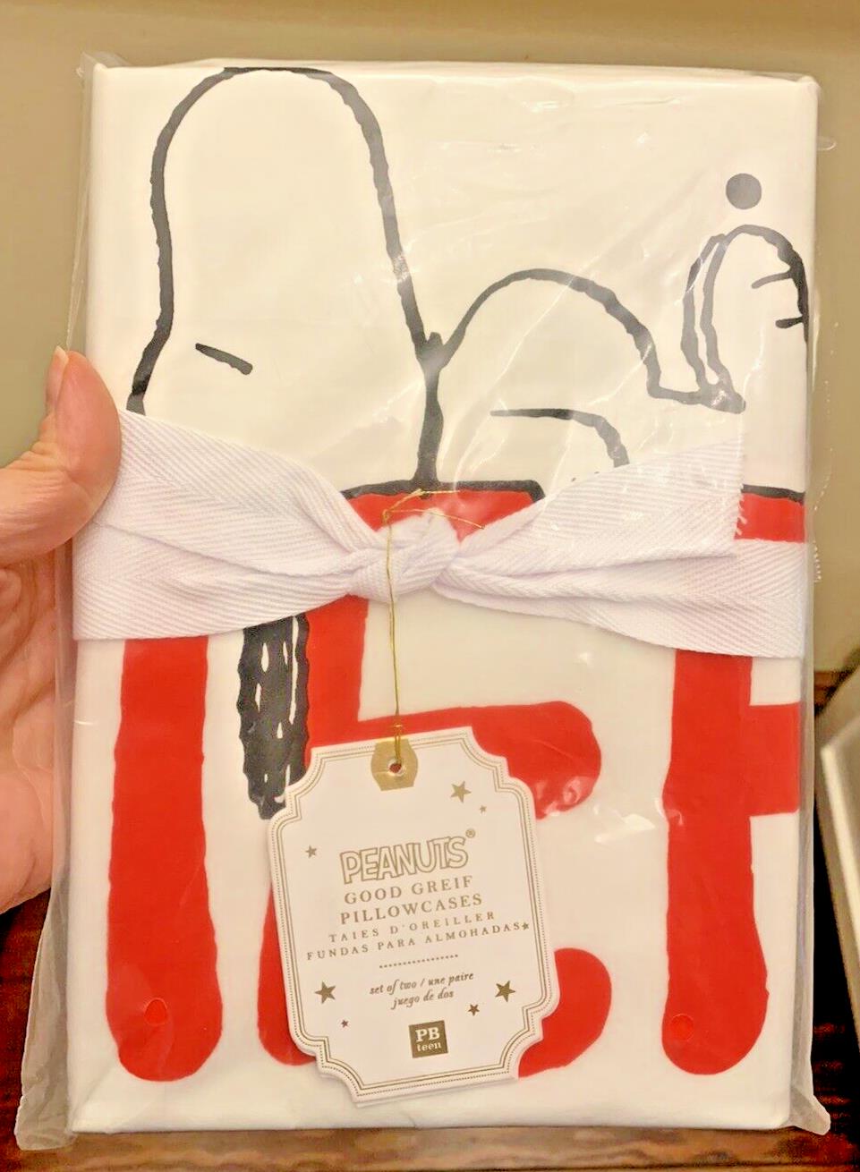 Disney Snoopy Pottery Barn Holiday birthday party gift Kid Pillowcase Set 2 `