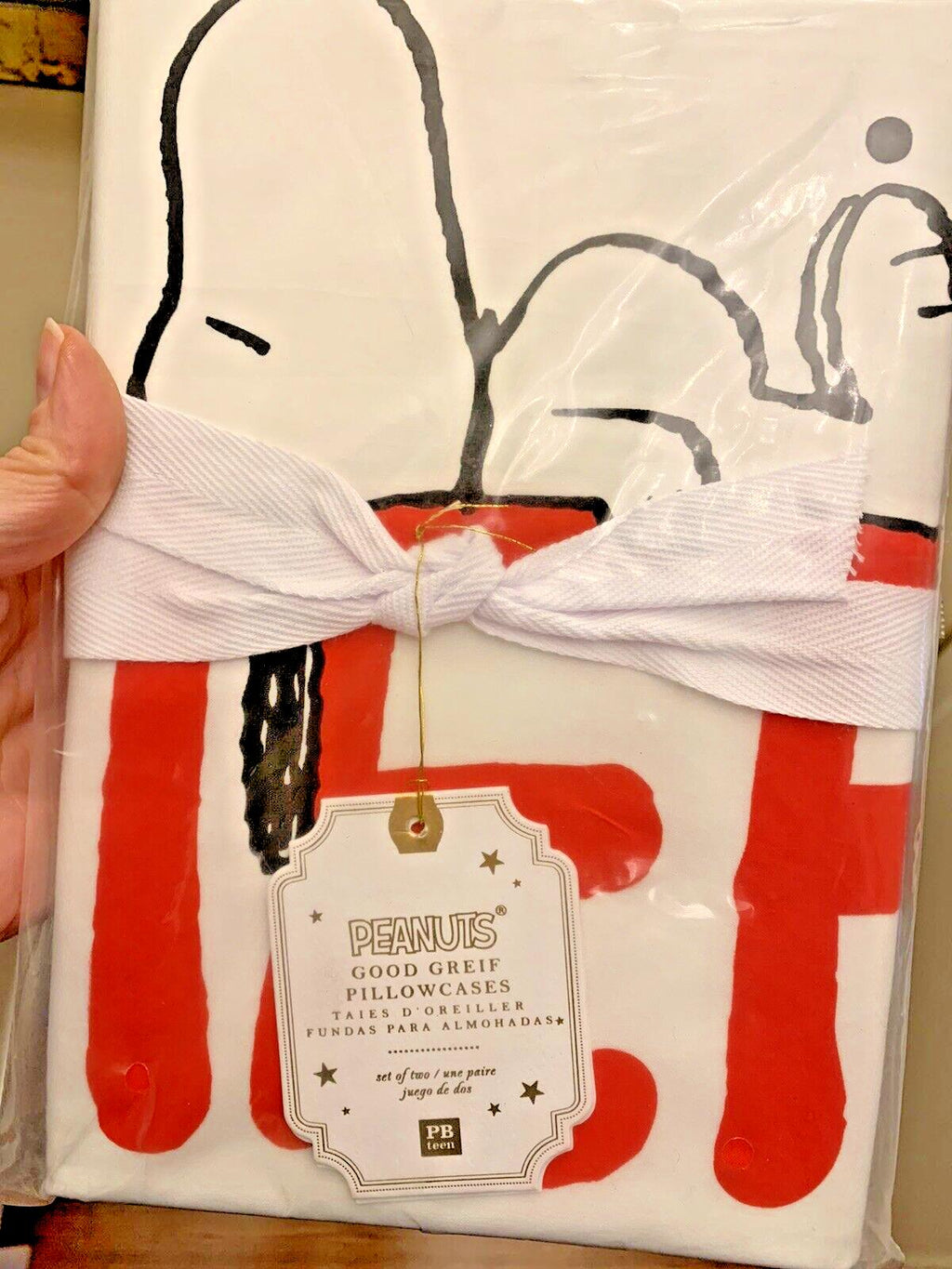 Disney Snoopy Pottery Barn Holiday birthday party gift Kid Pillowcase Set 2 `