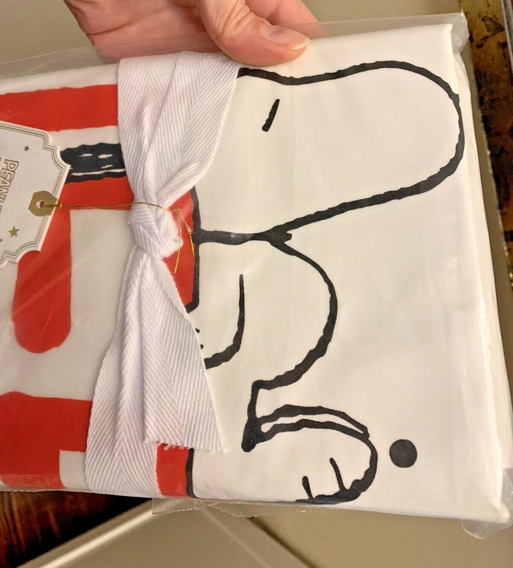 Disney Snoopy Pottery Barn Holiday birthday party gift Kid Pillowcase Set 2 `