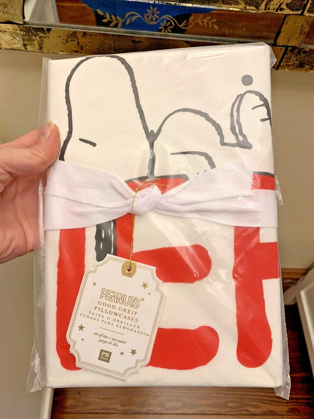 Disney Snoopy Pottery Barn Holiday birthday party gift Kid Pillowcase Set 2 `