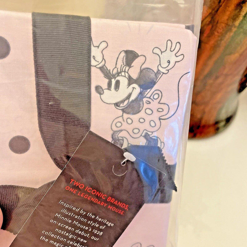 Disney Pottery Barn Mickey Minnie Mouse pillowcase gift Birthday KID SET 2 ?? y