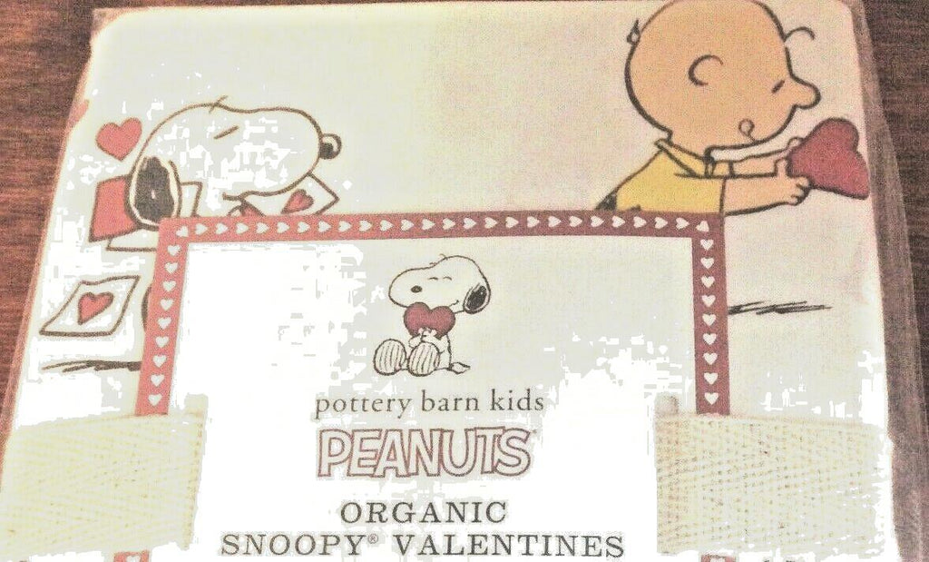 Snoopy Pottery Barn Valentine Heart PILLOW SHAM PEANUTS holiday disney kid -