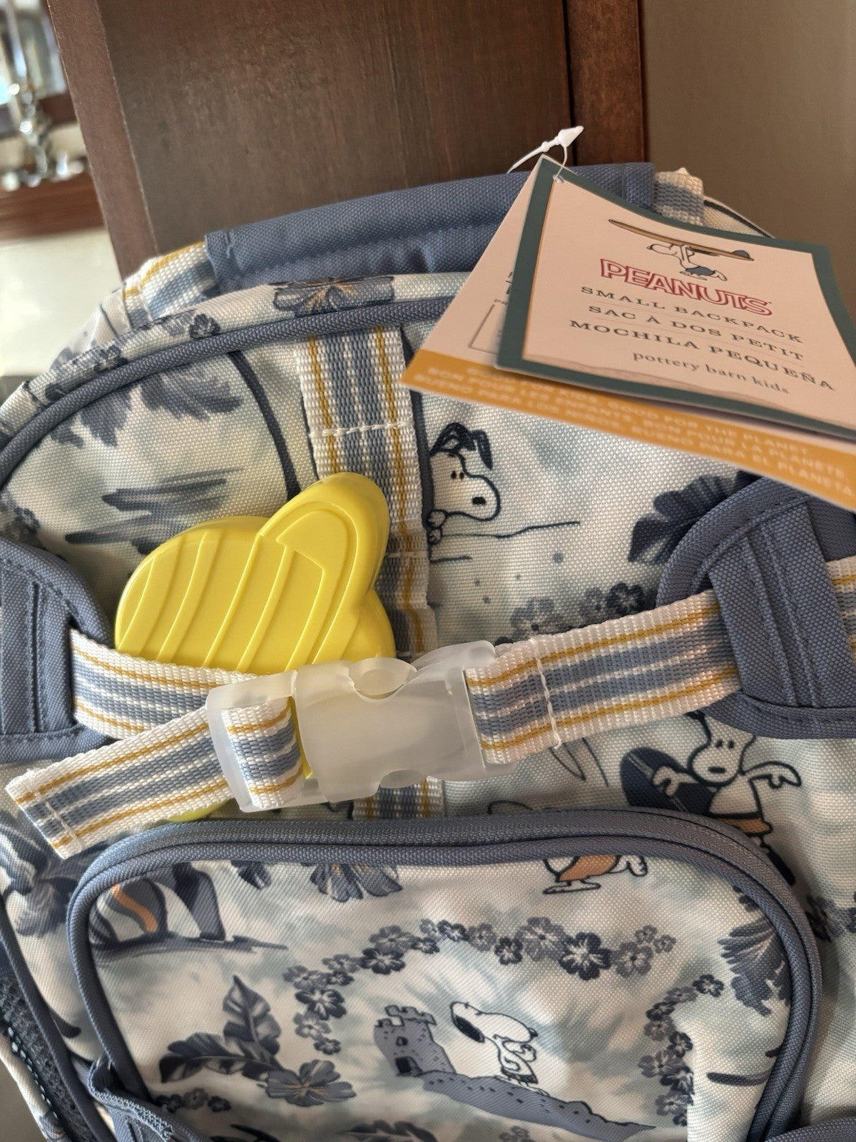 Pottery Barn school SNOOPY Disney Backpack Peanuts beach Travel bag pre k kid e.