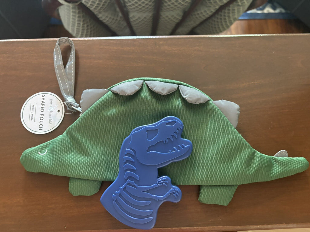 Pottery barn school disney Dinosaur Pencil case Bag Pre K Jurassic Boy gift "