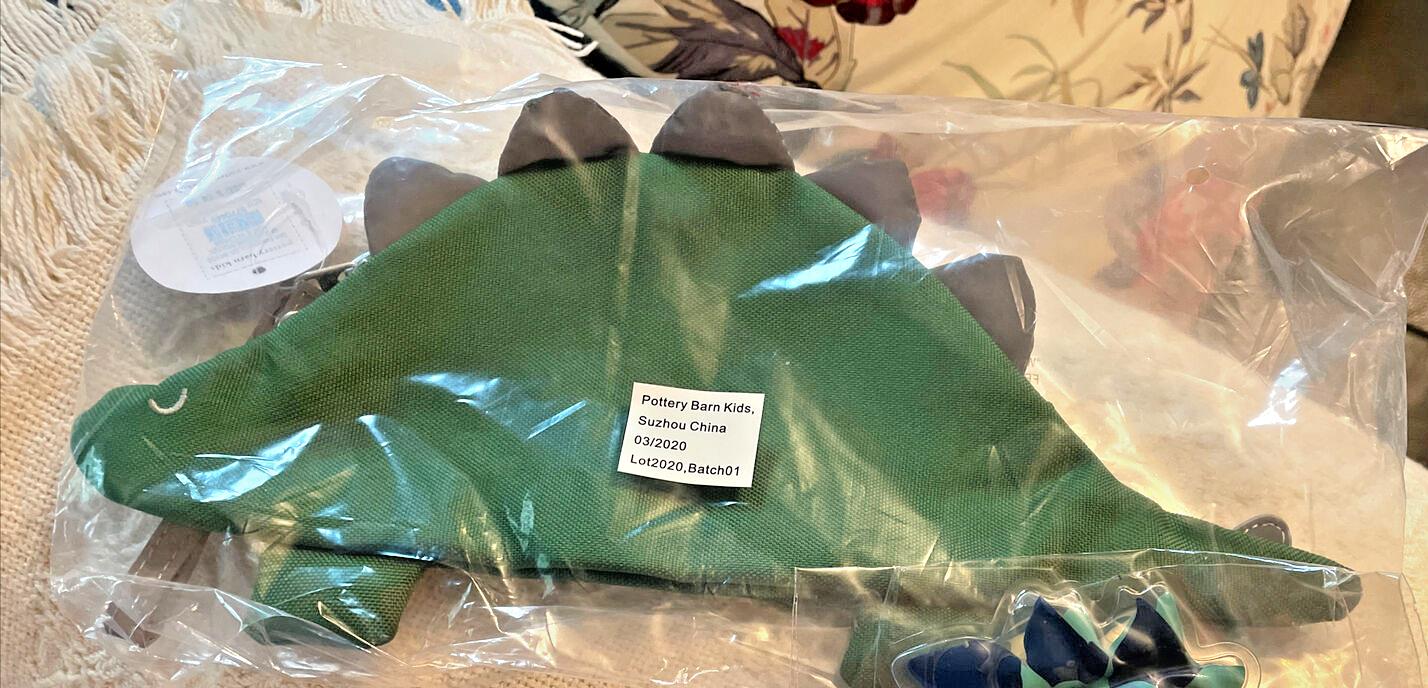 Pottery barn school disney Dinosaur Pencil case Bag Pre K Jurassic Boy gift "
