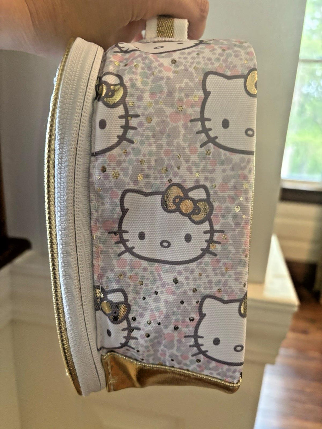 School Disney Pottery Barn Hello Kitty cat Lunch box bag pre-k holiday+Sticker -