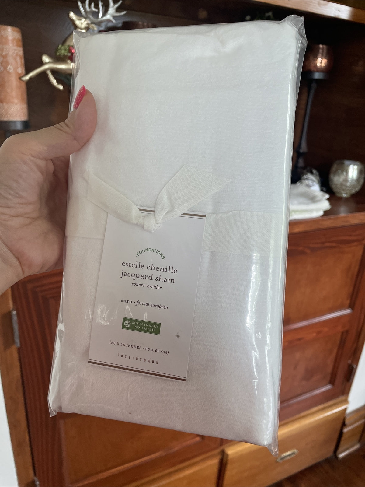 Disney Pottery Barn Pillow SHAM holiday white euro princess teen gift school =