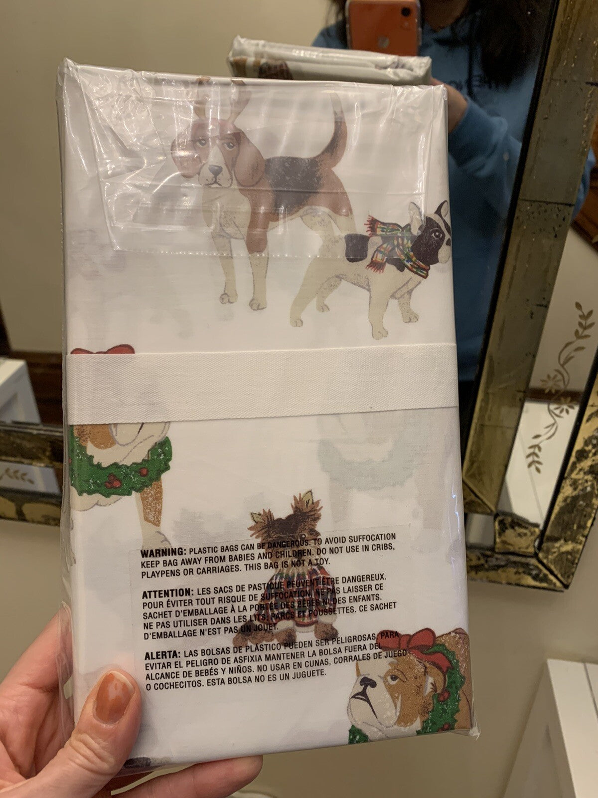 Pottery Barn Christmas holiday gift dog party pillowcase SET 2 Disney Birthday =