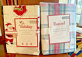 Pottery Barn  Christmas Pillowcase Plaid Sham holiday Stewart red disney SET 2