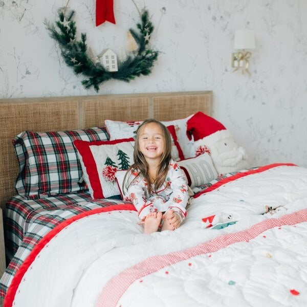 Pottery Barn  Christmas Pillowcase Plaid Sham holiday Stewart red disney SET 2