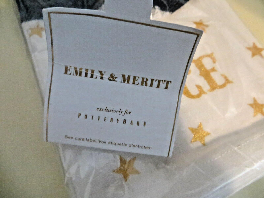 Pottery barn Disney holiday towel kitchen party Emily Meritt space school star ]