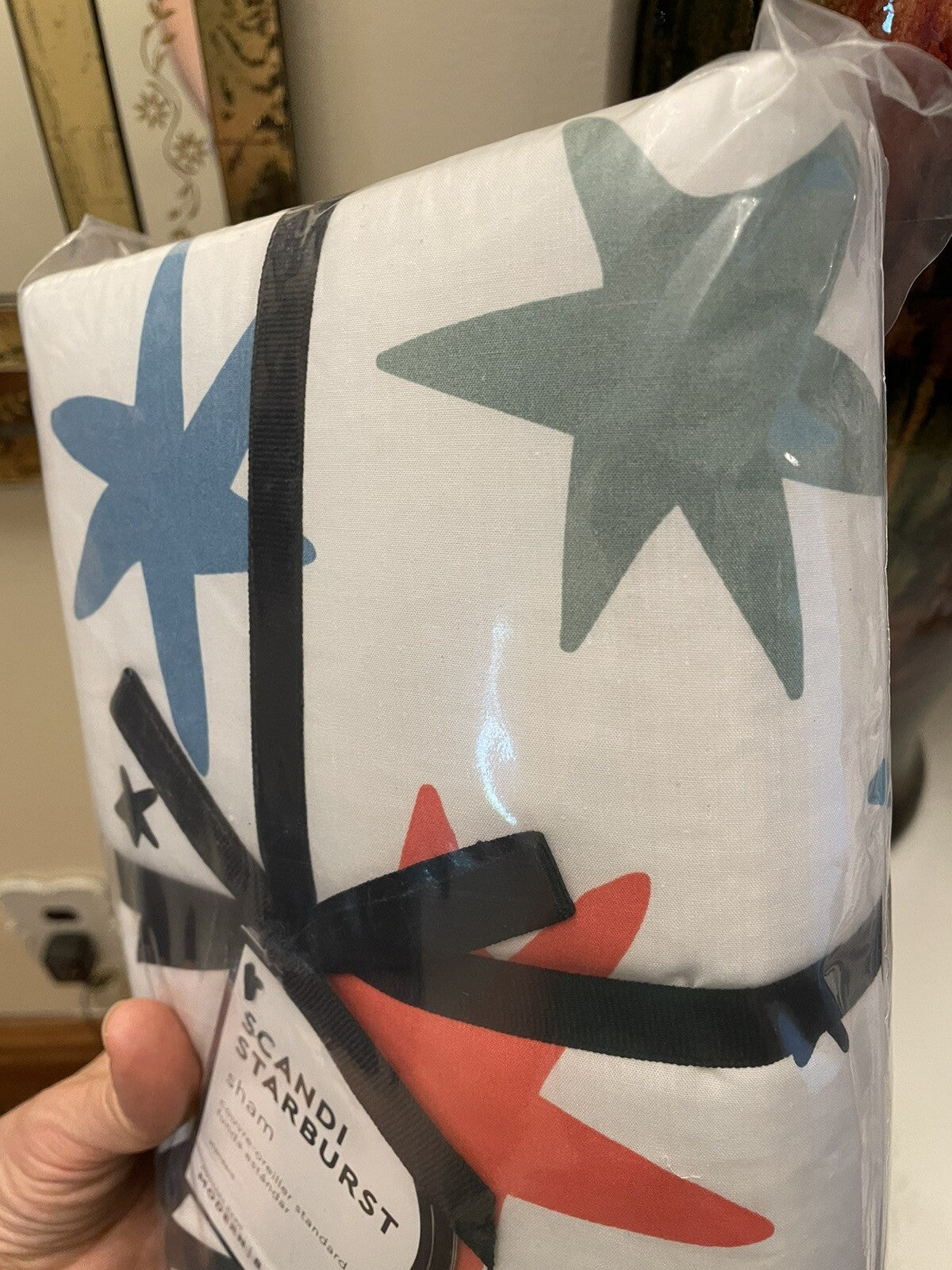 Pottery Barn Holiday Pillow sham star space gift school rainbow party gift kid =