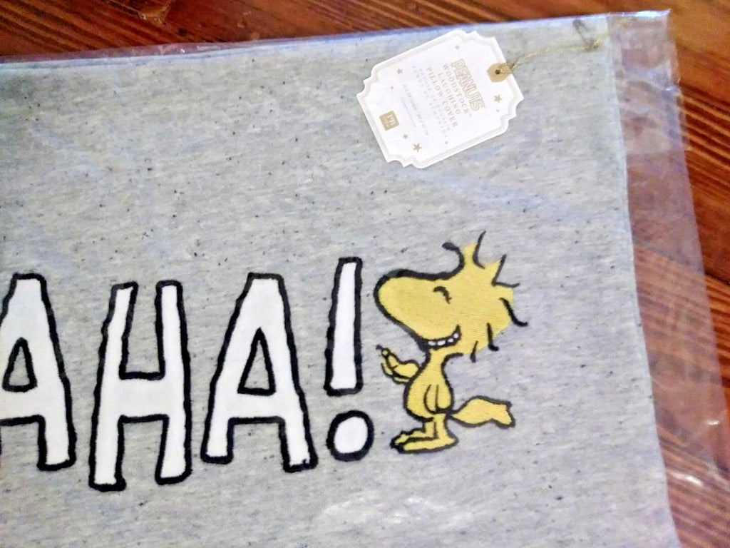 Pottery barn Snoopy school holiday Sham peanuts dog gift party disney kids ,.